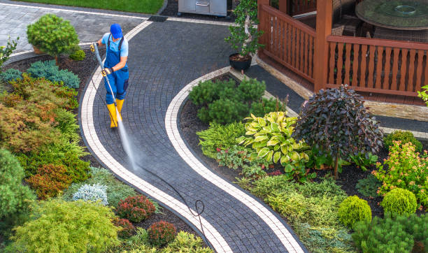 Best Deck Cleaning Services  in Orland, CA